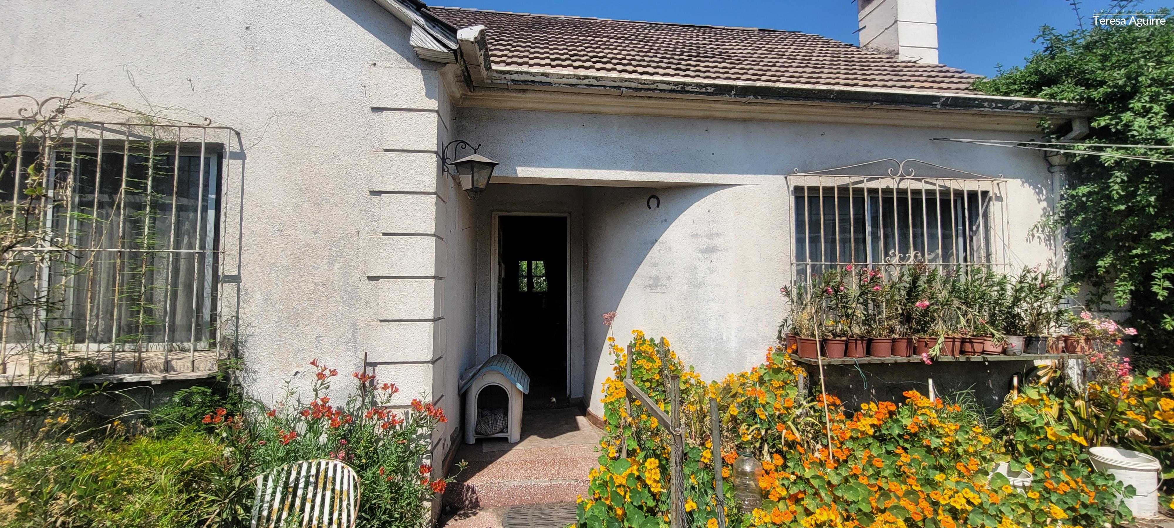 Emilia Tellez. Terreno, jardines